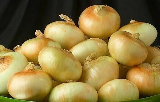 Cebollas Vidalia 2